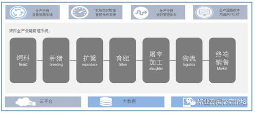 互联网养猪 当物联网让猪“说话”变自动饲喂，一场静悄悄的革命在猪圈里爆发